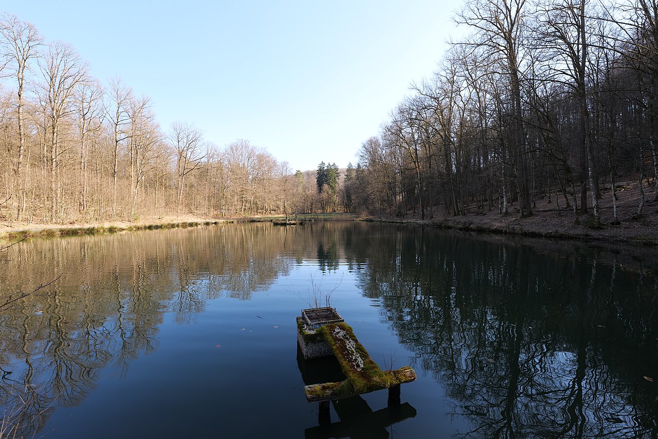 Spessartspur Wildromantische Hirschbornteiche Gps Wanderatlas