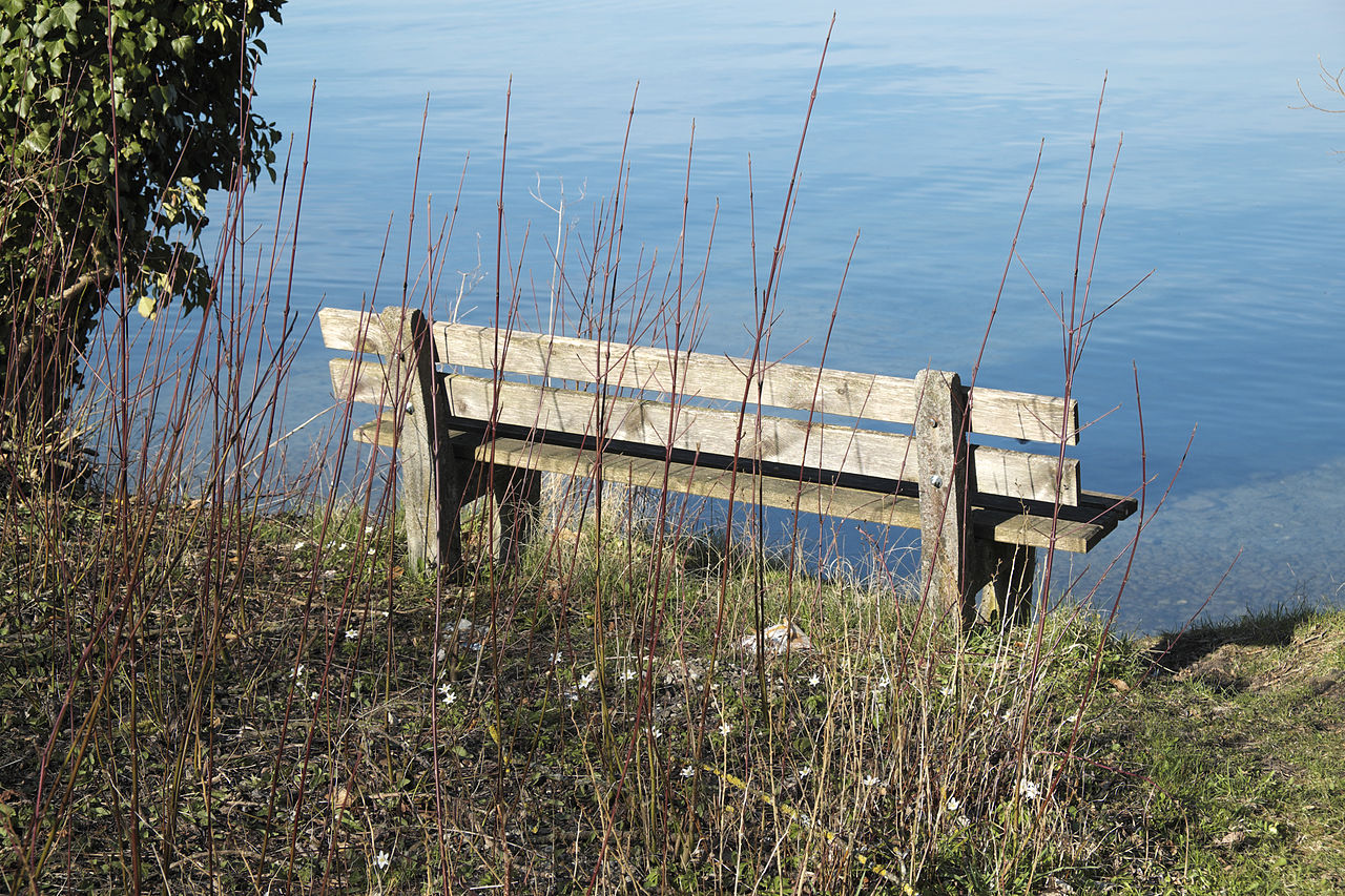 Rundwanderung Nußberger Weiher, Bernrieder Park und ...