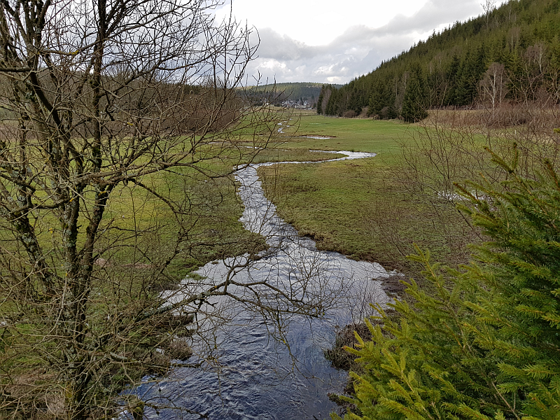 Rundwanderung Wasserwege Wittgenstein - Benfe-Erndtebrück-Altenteich 18 ...