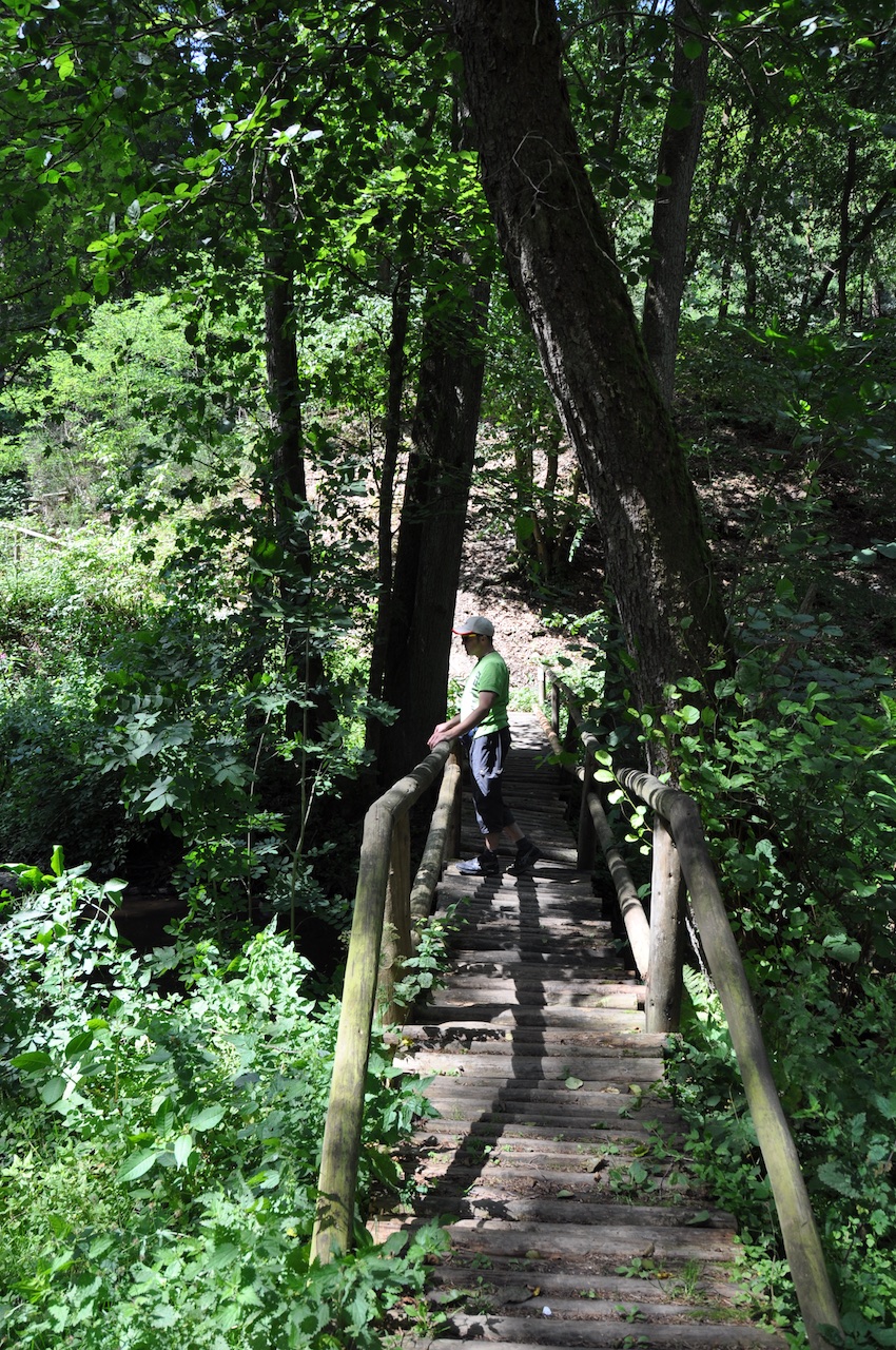 Wandern Im Kannenbäckerland (Westerwald): Die 7 Schönsten Rundtouren ...