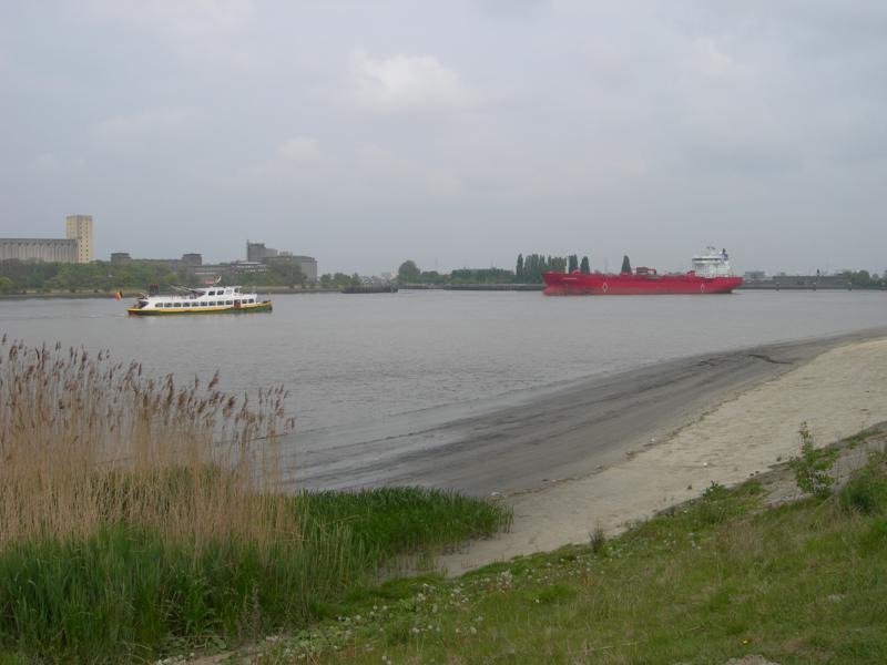 Schelde Wanderung Am St Anna Strand In Antwerpen Belgien Gps Wanderatlas