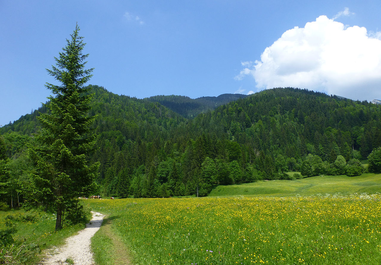 Heutal-Wanderung im Salzburger Land | GPS Wanderatlas