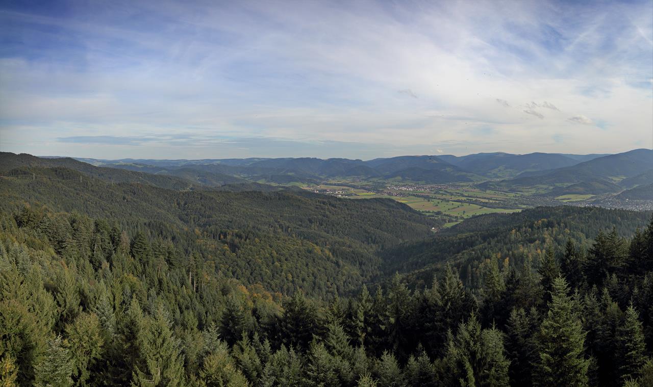 Kandelhöhenweg Etappe 5 von St. Peter im Hochschwarzwald nach Freiburg