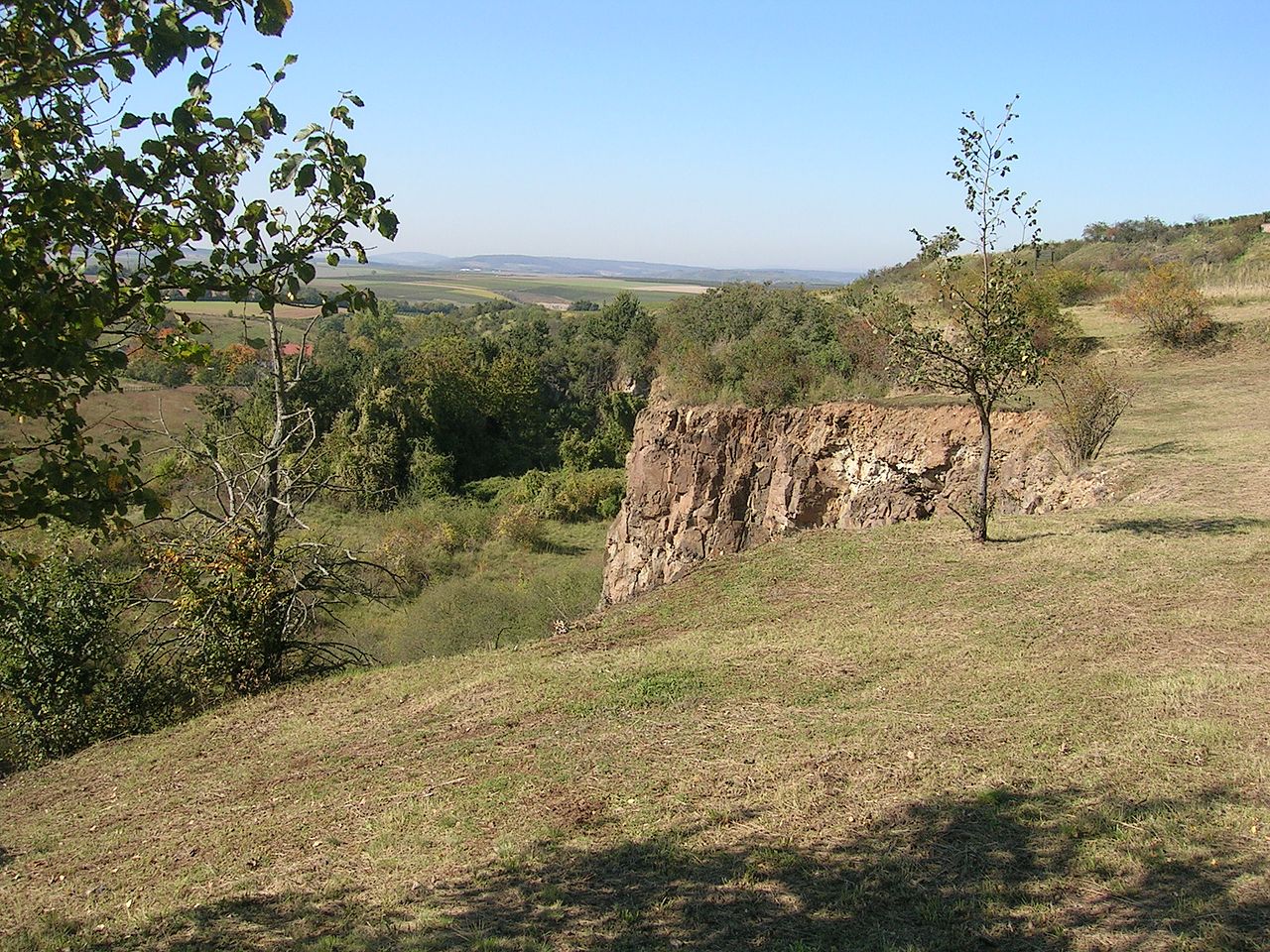 Blick auf das Aulheimer Tal