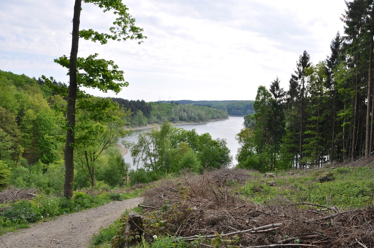 Die 7 Schönsten Rundwanderungen An Der Wuppertalsperre (Bergisches Land ...