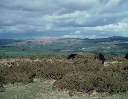 Two Moors Way (from Dartmoor to Exmoor) | GPS Wanderatlas